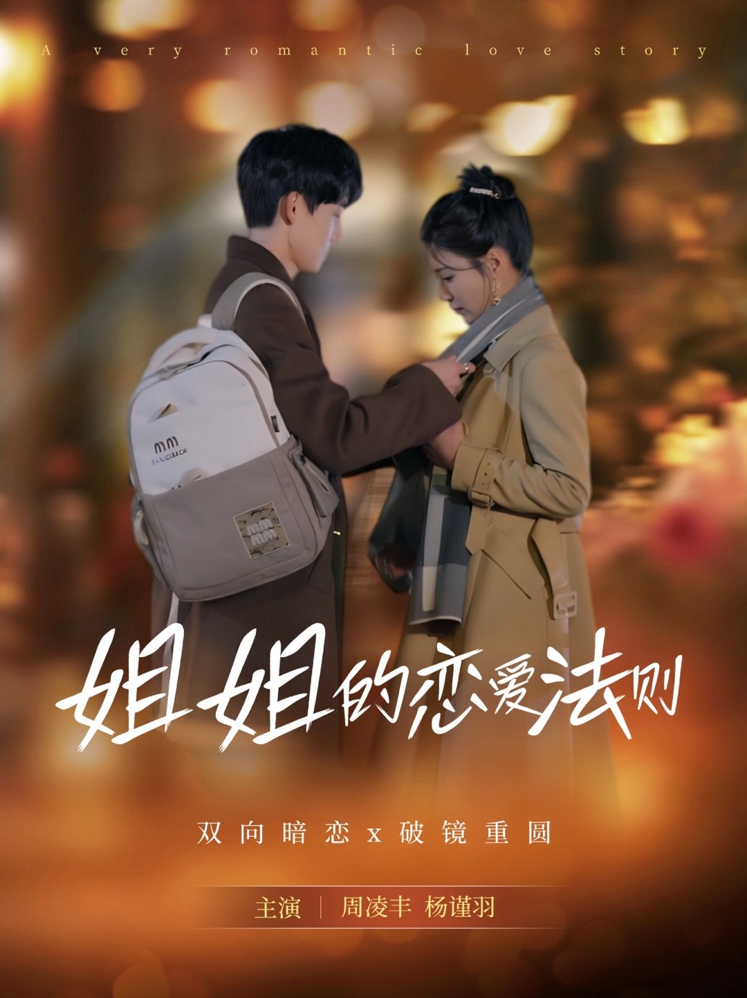 姐姐的戀愛法則海報