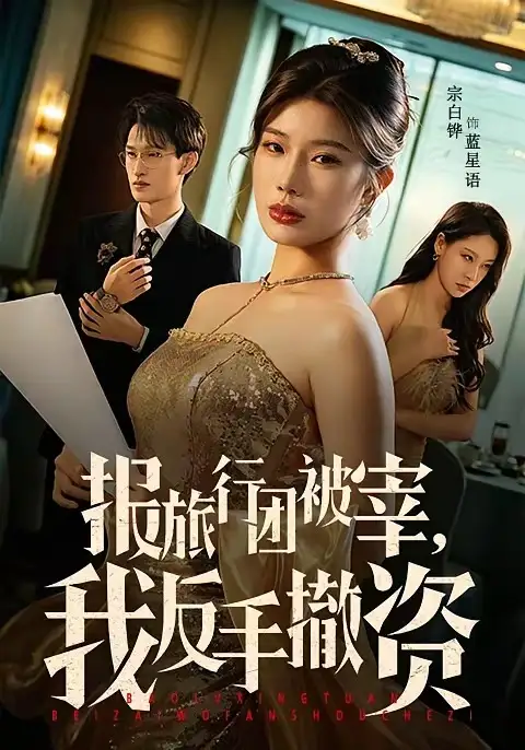 報旅行團被宰,我反手撤資海報