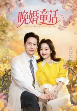 晚婚童話海報