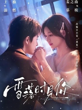 雪落時見你海報