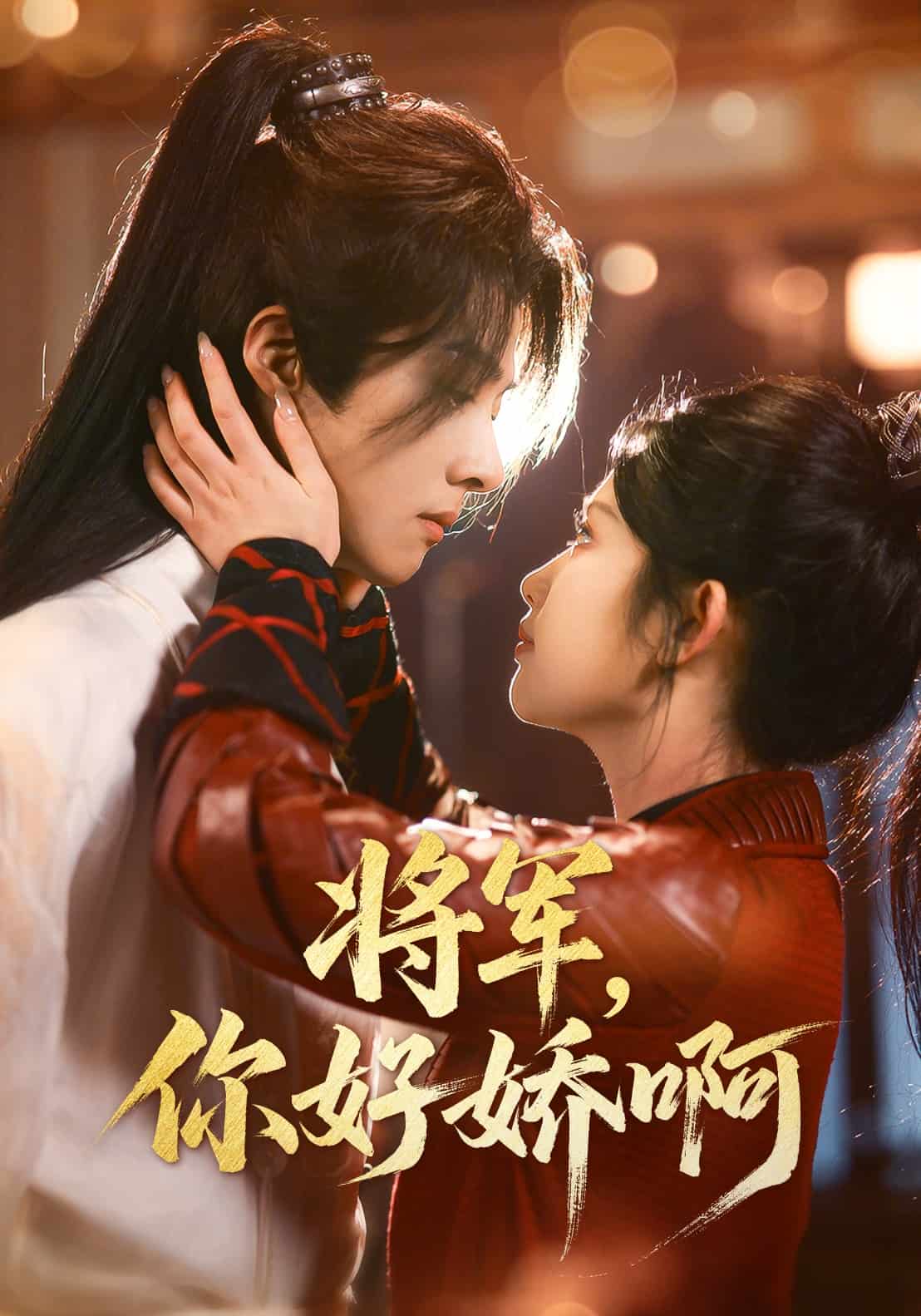 將軍,你好嬌啊海報