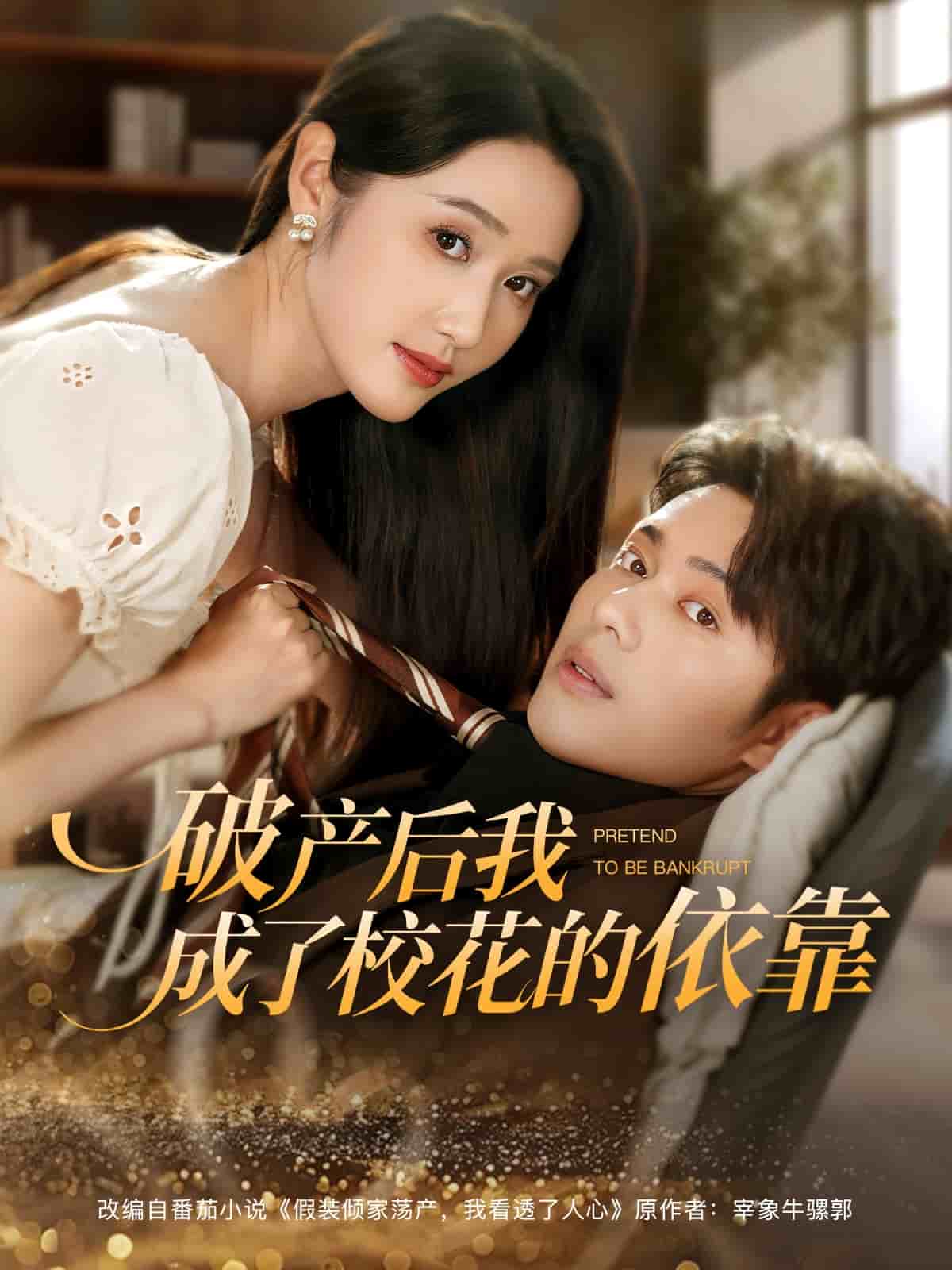 破產後我成了校花的依靠海報