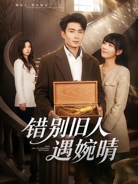 錯別舊人遇婉晴海報