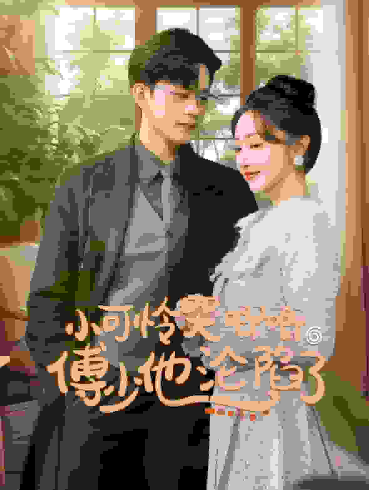 閃婚成寵農村辣媳要翻身海報