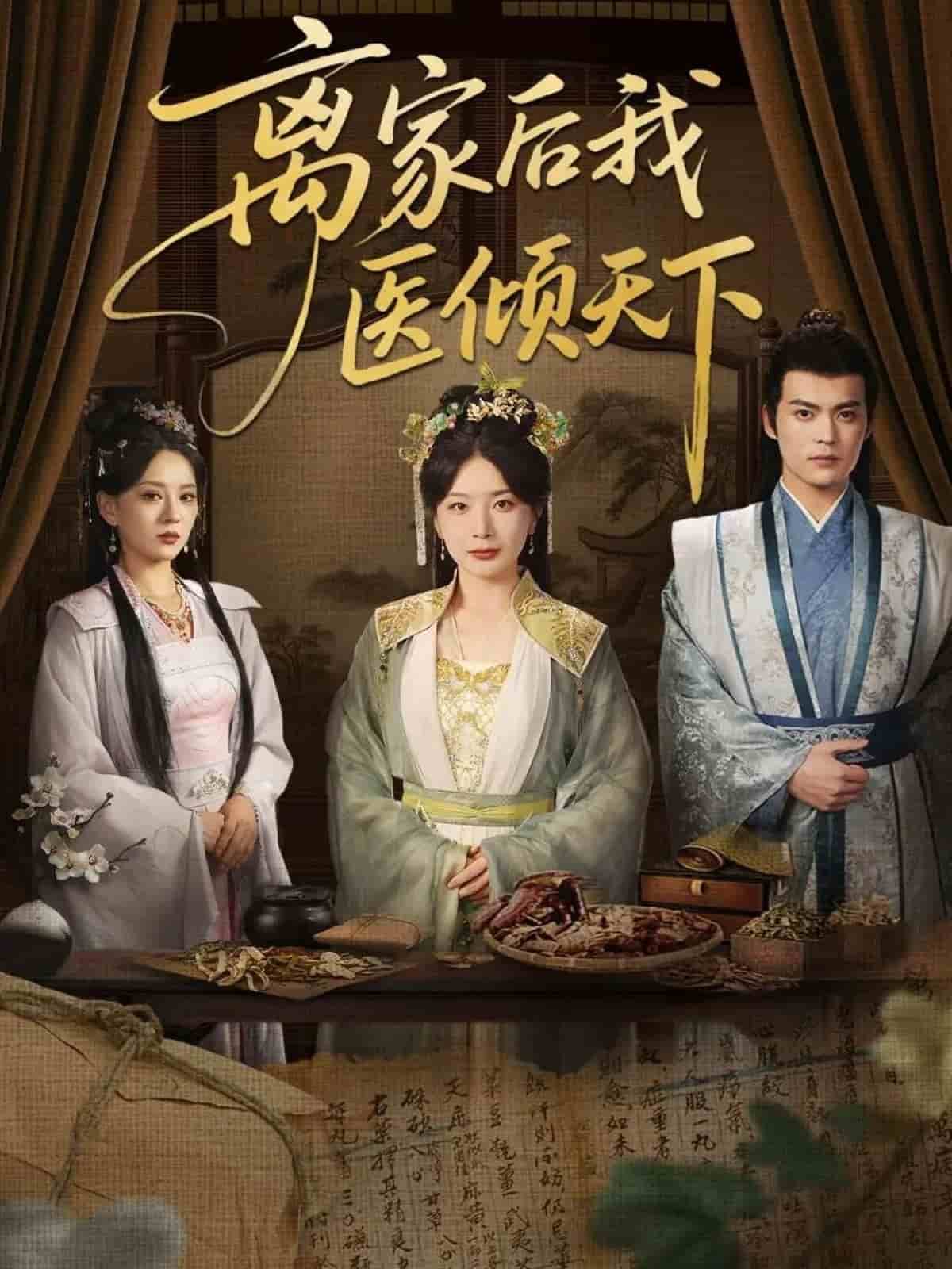 離家後我醫傾天下海報
