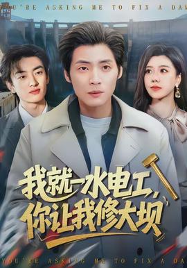 我就一水電工,你讓我修大壩海報