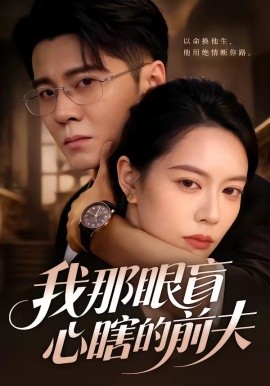 我那眼盲心瞎的前夫海報