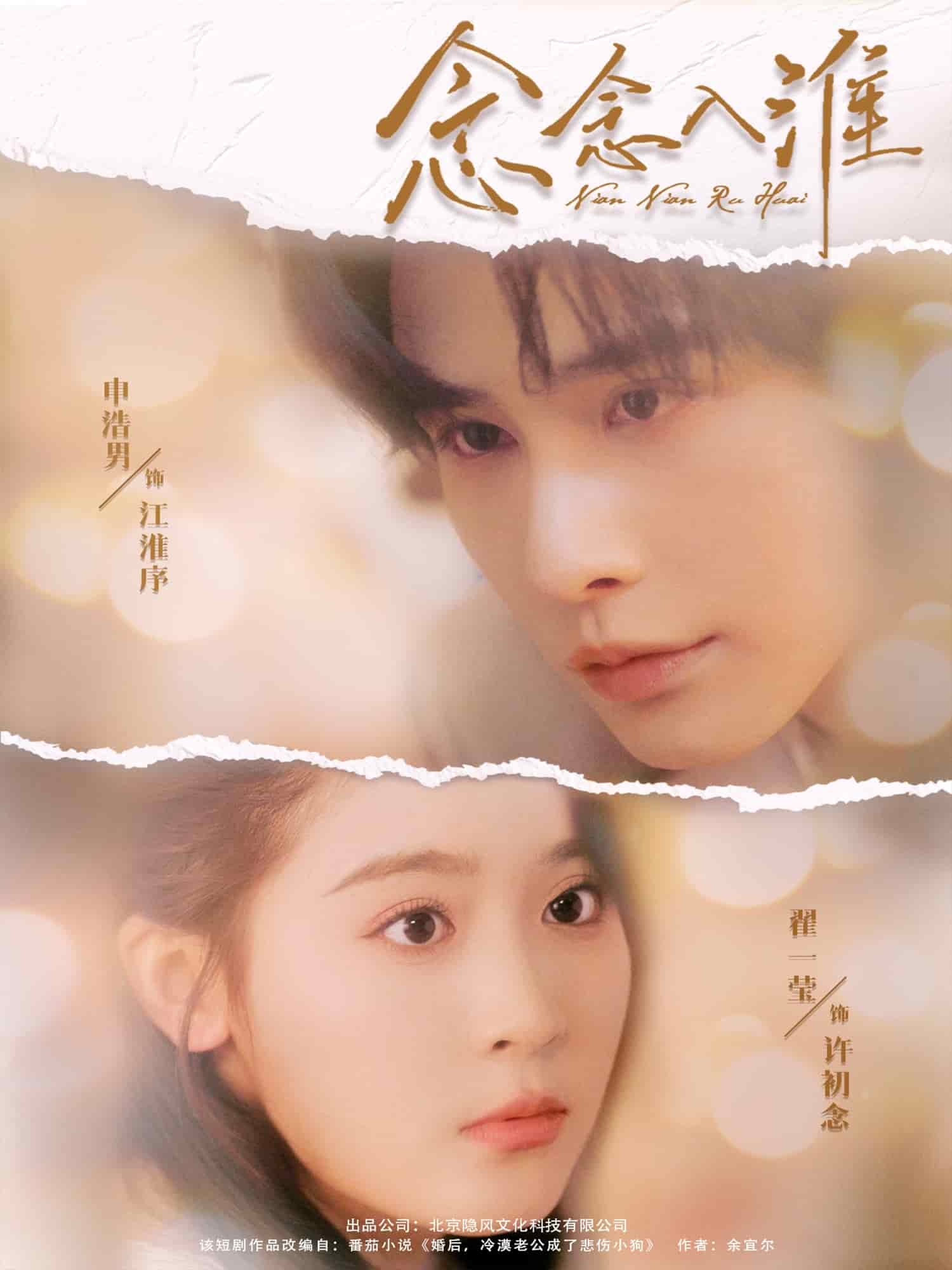 念念入淮海報