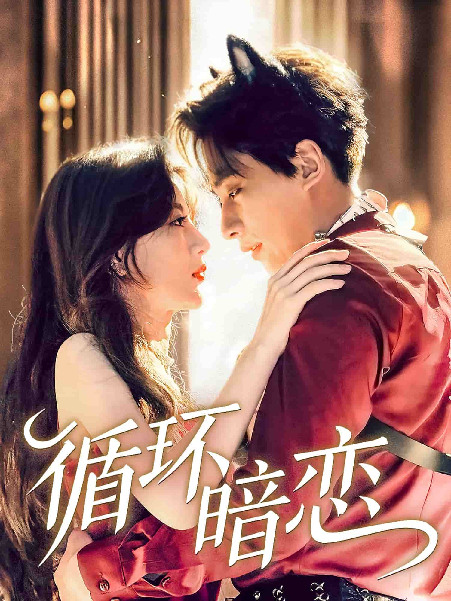迴圈暗戀海報