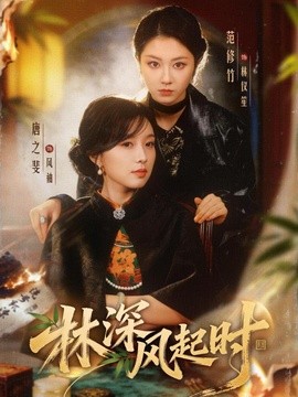 林深風起時海報
