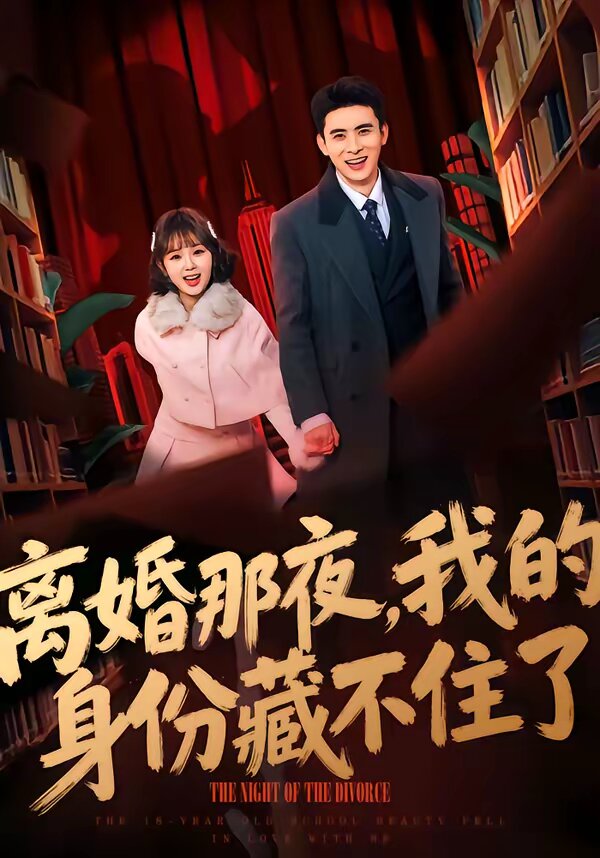 離婚那夜,我的身份藏不住了海報