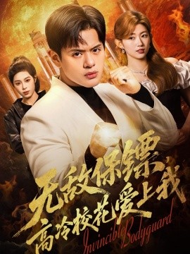 無敵保鏢,高冷校花愛上我海報