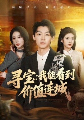 尋寶:我能看到價值連城海報