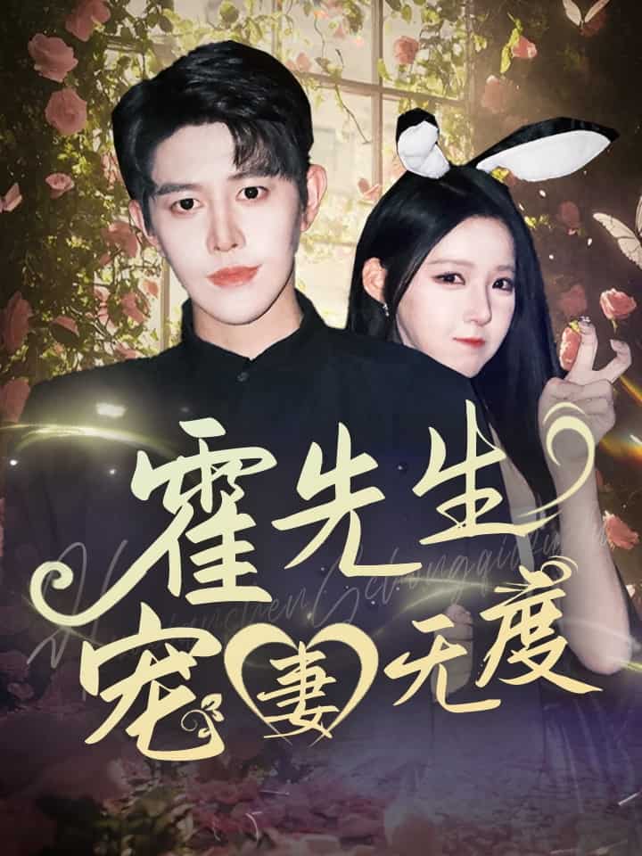 霍先生寵妻無度海報