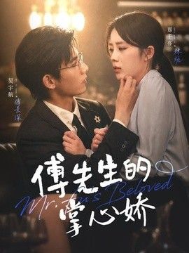 傅先生的掌心嬌海報