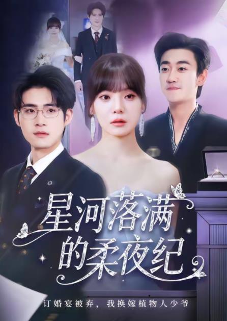 星河落滿的柔夜紀海報