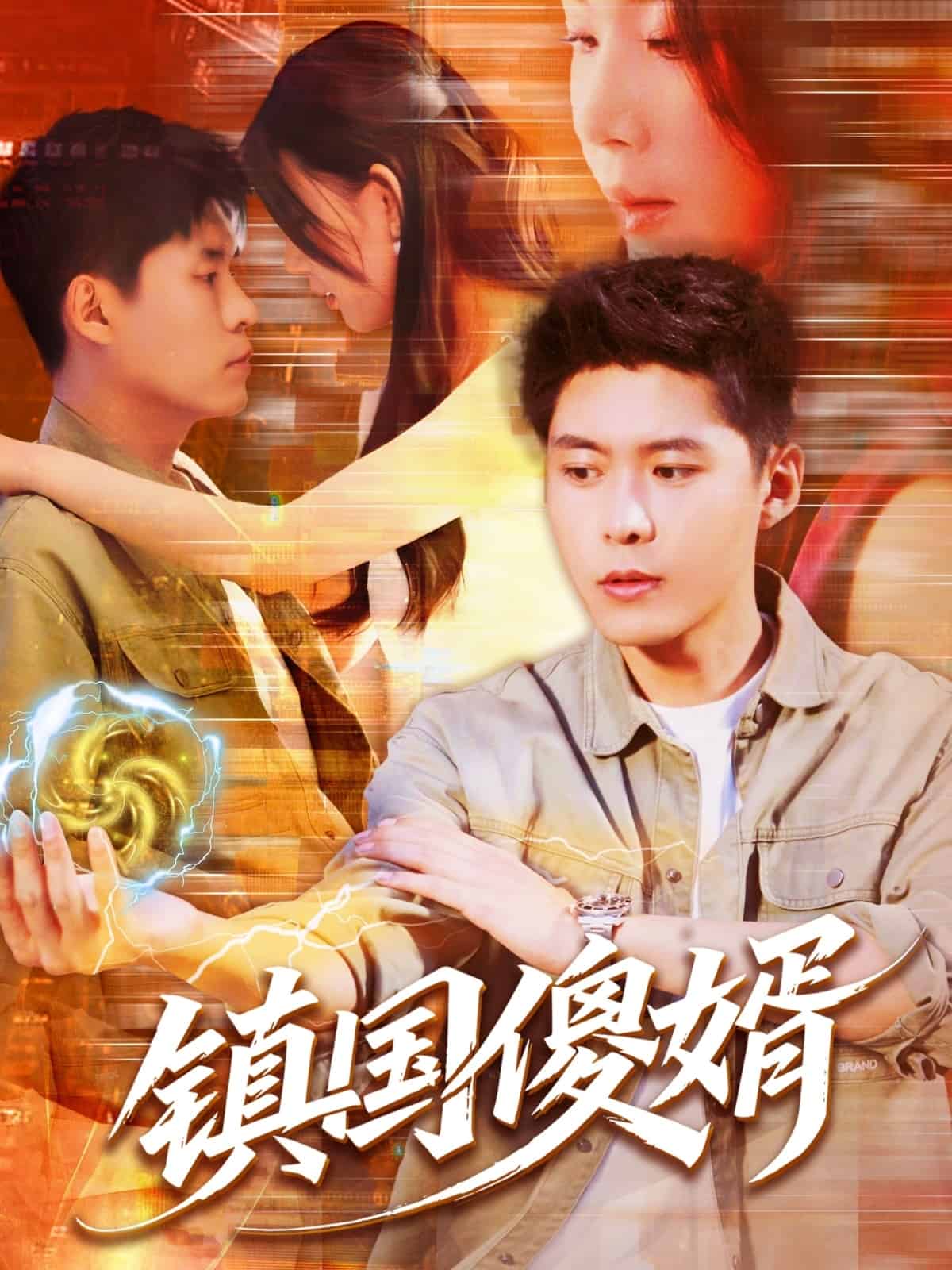 鎮國傻婿海報