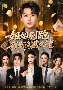 姐姐別跑,我是隱藏大佬海報
