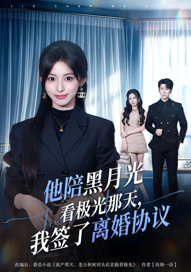他陪黑月光看極光那天,我簽了離婚協議海報