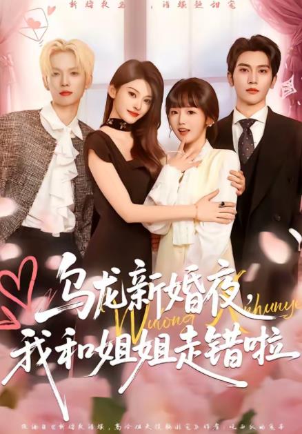 烏龍新婚夜,我和姐姐走錯啦海報