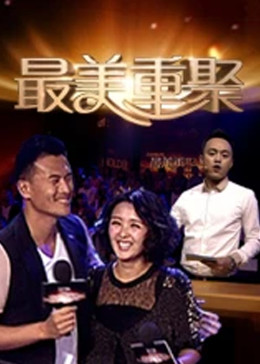 最美重聚海報