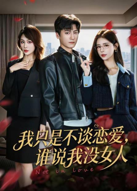 我只是不談戀愛,誰說我沒女人海報