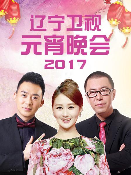 遼寧衛視元宵晚會海報