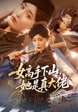女高手下山,她是真大佬海報