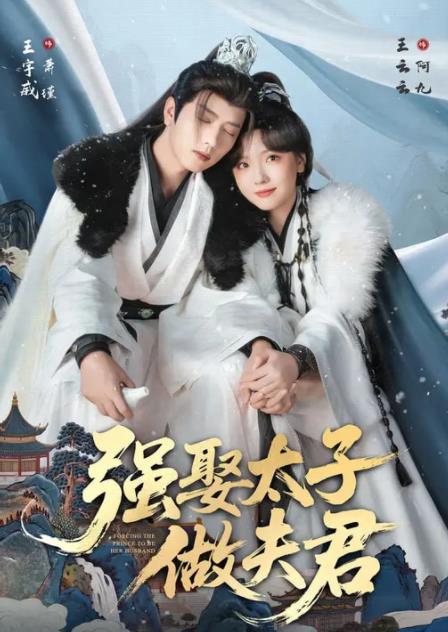 強娶太子做夫君海報