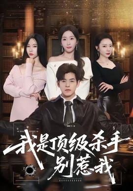 我是頂級殺手,別惹我海報