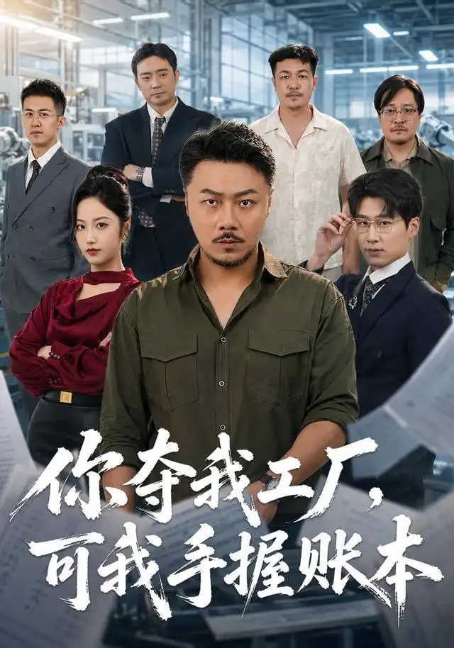 你奪我工廠,可我手握賬本海報