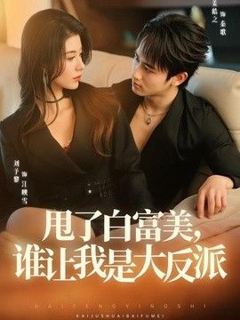 甩了白富美,誰讓我是大反派海報