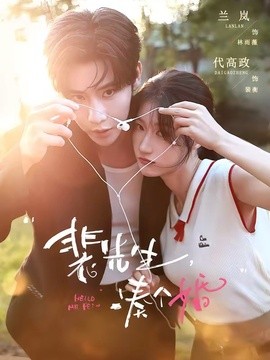裴先生,湊個婚海報