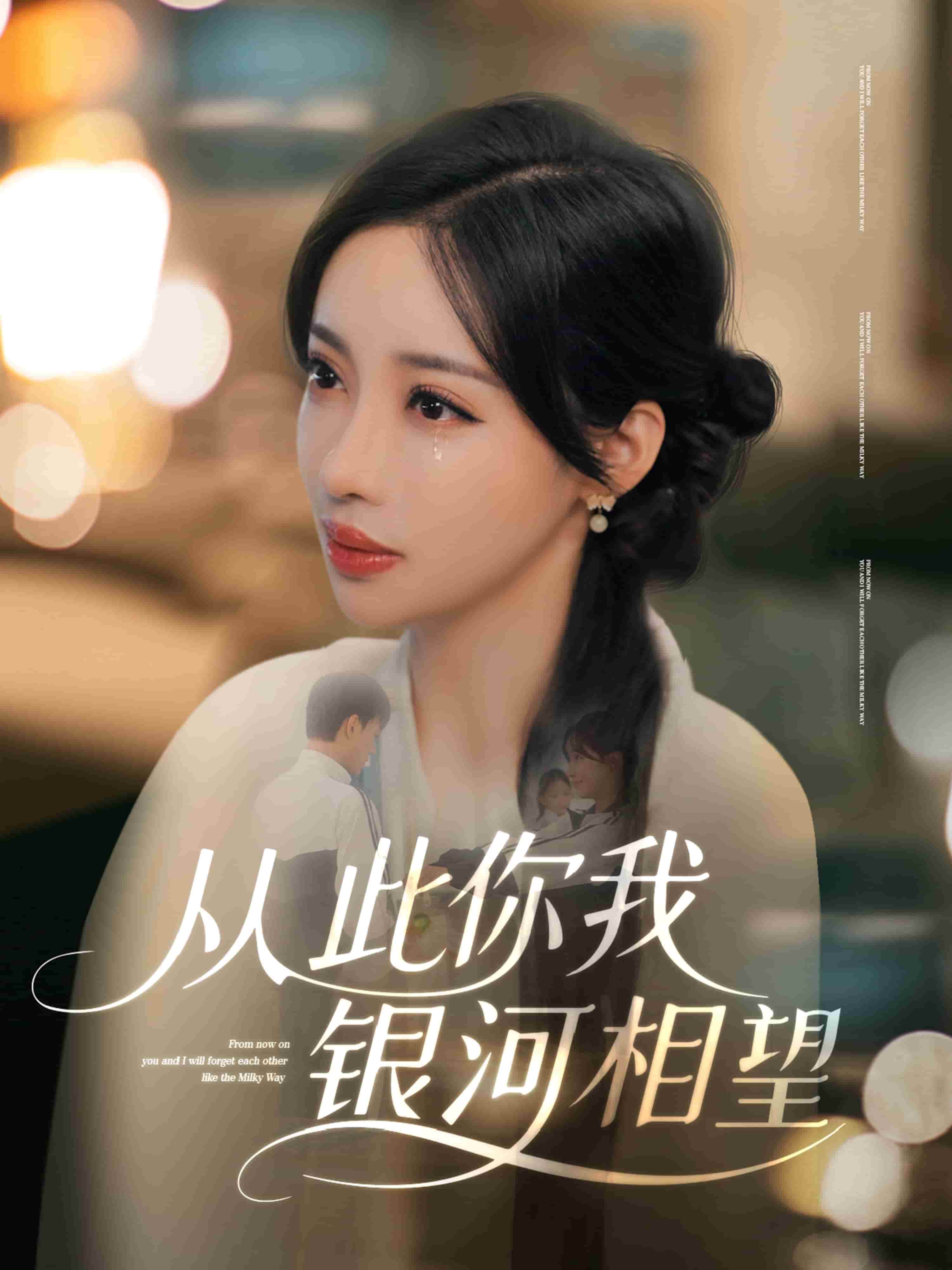 從此你我銀河相望海報