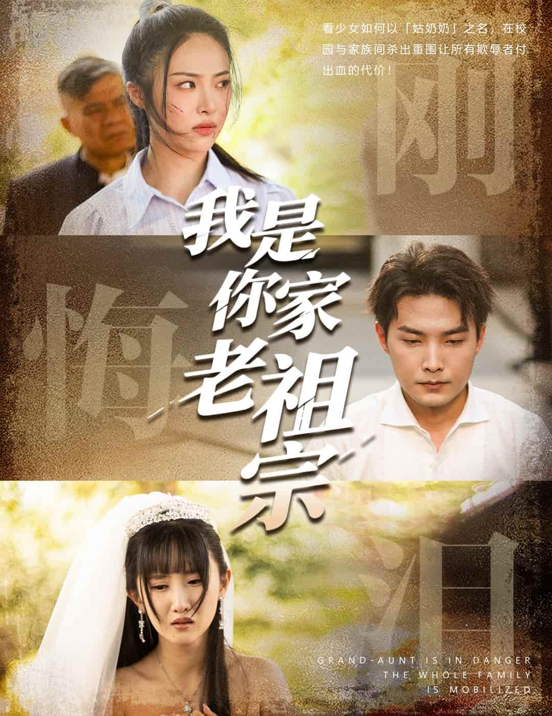 我是你家老祖宗海報