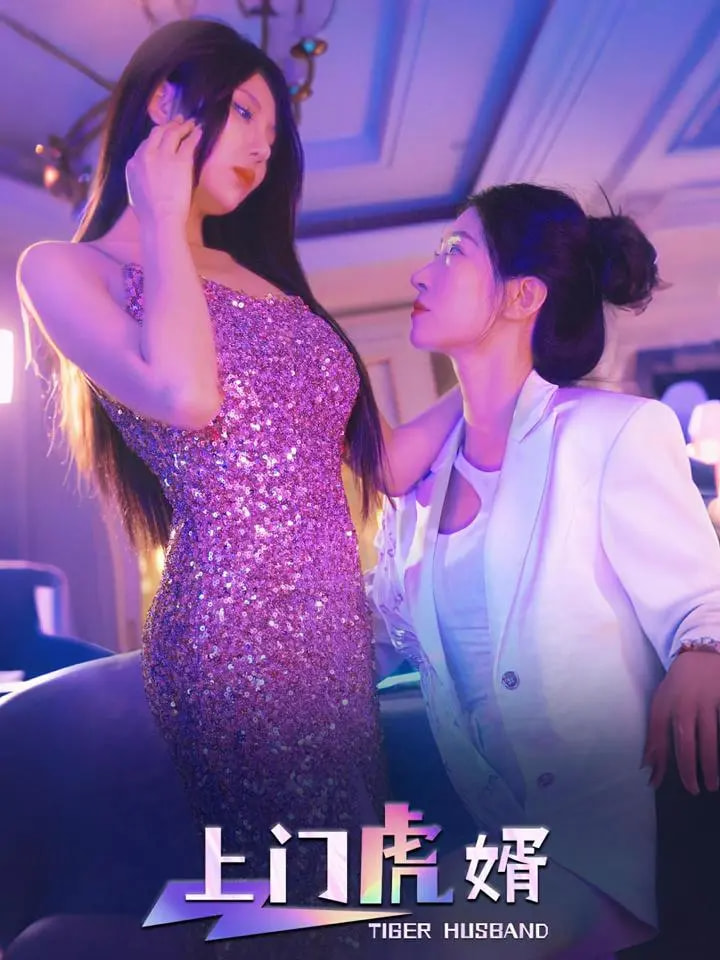 上門虎婿海報