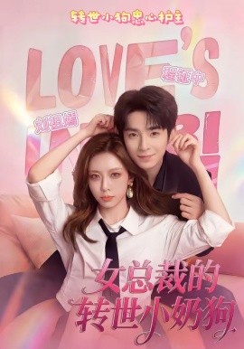 女總裁的轉世小奶狗海報