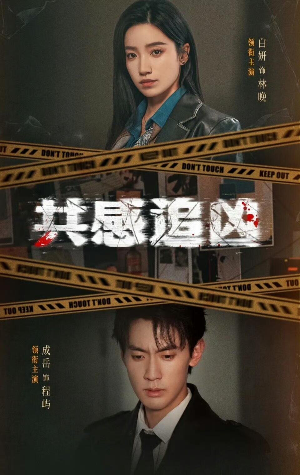 共感追兇海報