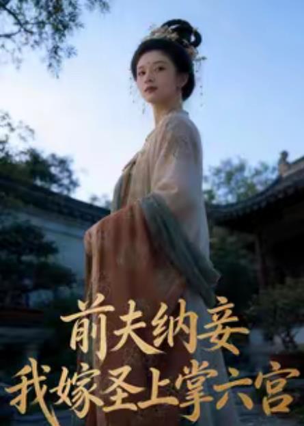 前夫納妾,我嫁聖上掌六宮海報