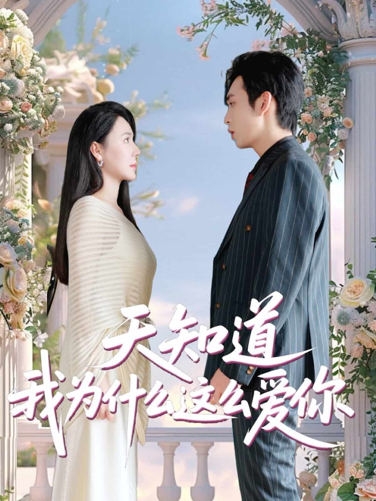 天知道我為什麼這麼愛你海報