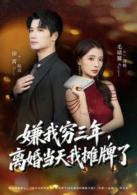 嫌我窮三年,離婚當天我攤牌了海報