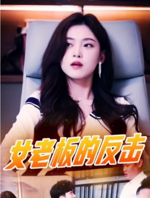 女老闆的反擊海報