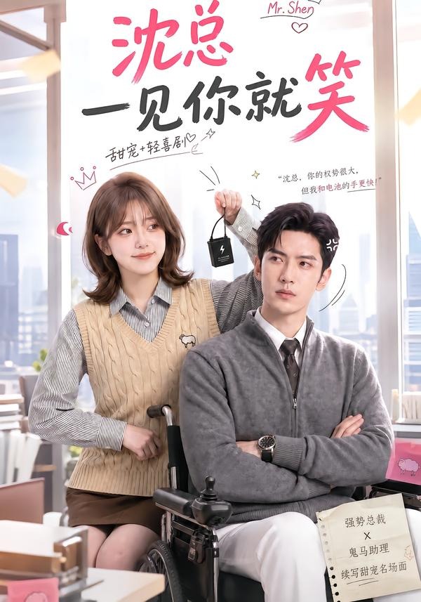 沈總一見你就笑海報