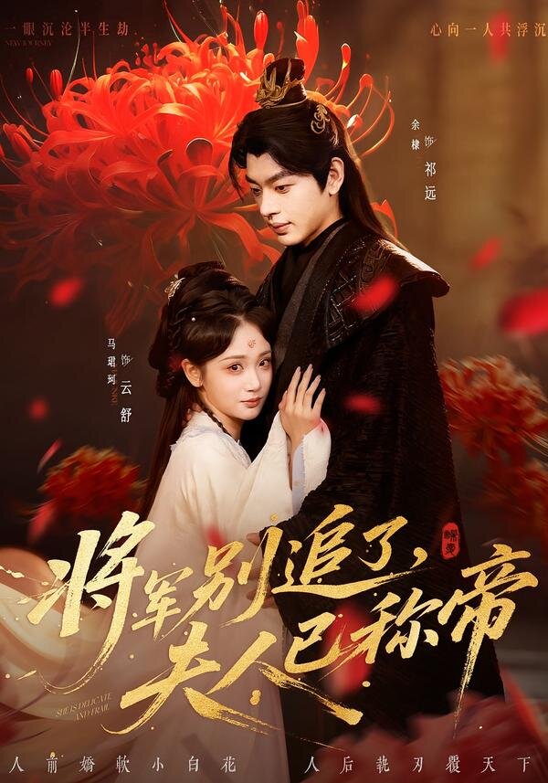 將軍別追了,夫人已稱帝海報