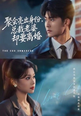 聚會亮出身份,總裁老婆卻要離婚海報