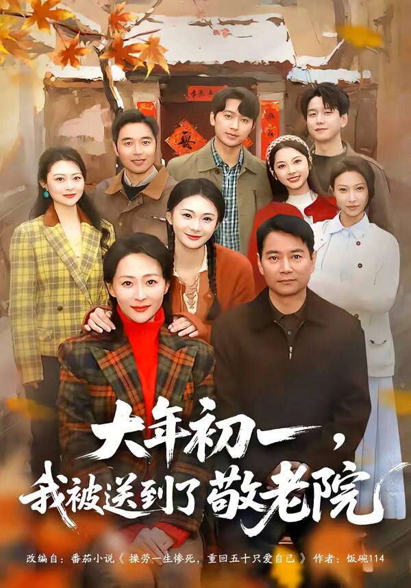 大年初一,我被送到了敬老院海報