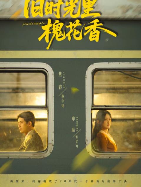 舊時光裡槐花香海報