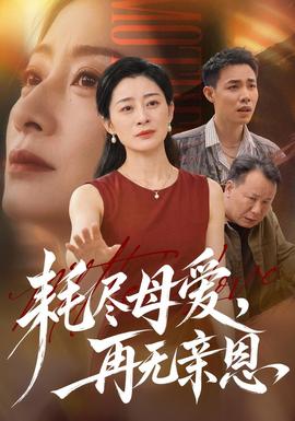 耗盡母愛,再無親恩海報