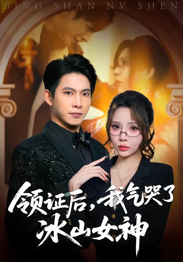 領證後,我氣哭了冰山女神海報
