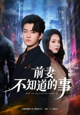 前妻不知道的事海報